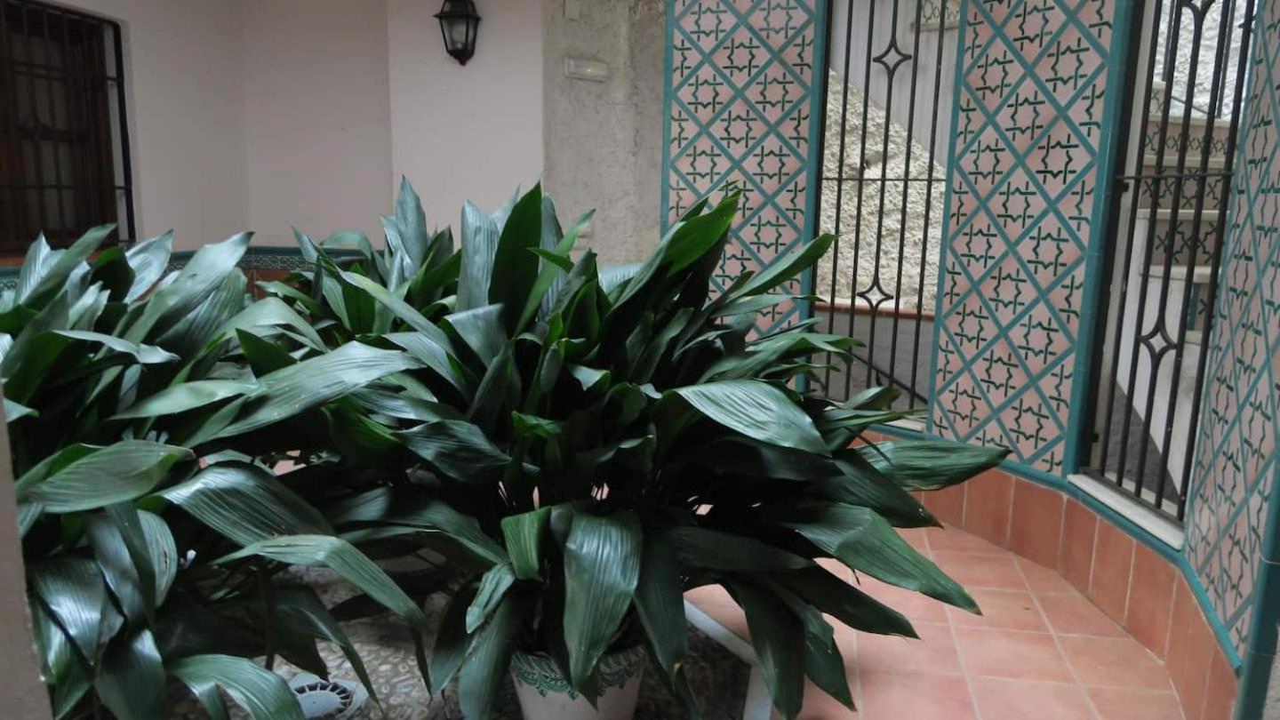 Апартаменты Charming Albaicin Patio Flat Free Onsite Parking Гранада Экстерьер фото